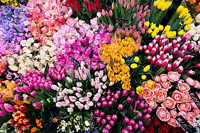 水墨和风RPG《残月之锁宫》已获ESRB分级 9＆29推出